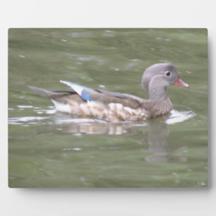 Duck on the Lake Plaque