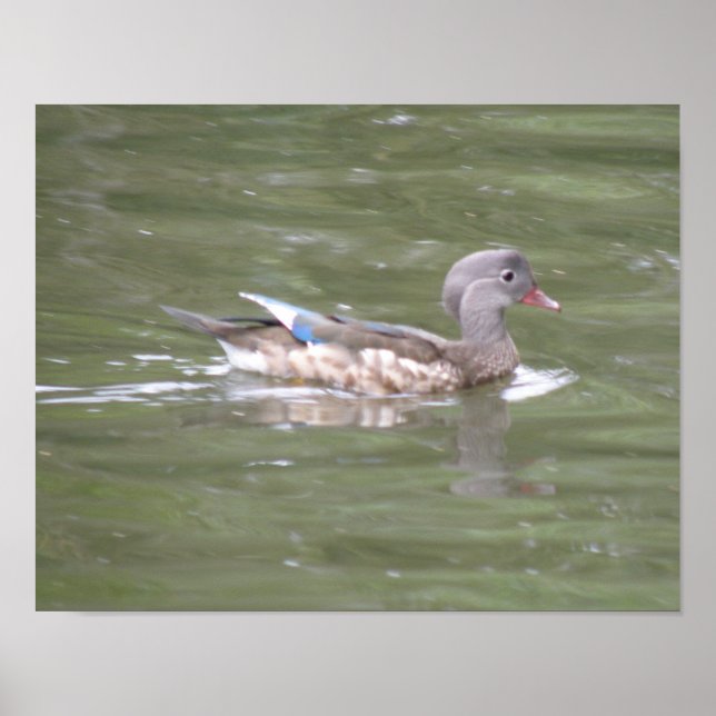 Duck on the Lake Print (Front)