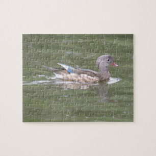 Duck on the Lake Puzzle