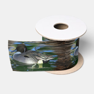 Duck On The Lake Satin Ribbon