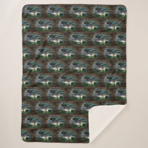 Duck On The Lake Sherpa Blanket