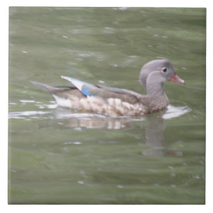 Duck on the Lake Tile