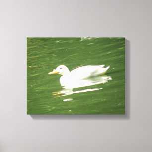 Duck on the Water Canvas Print