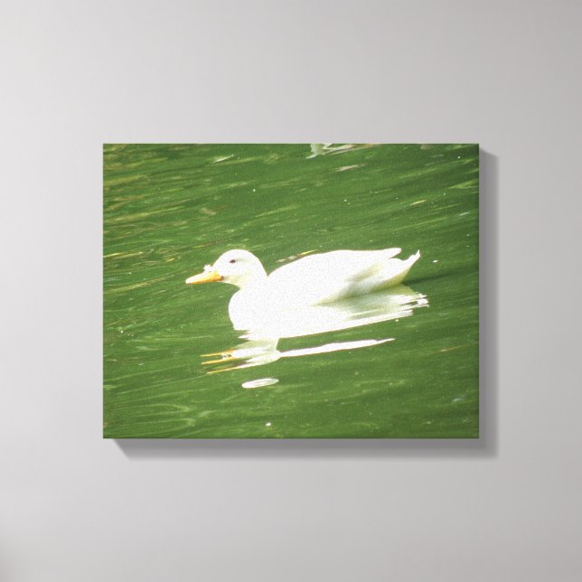 Duck on the Water Canvas Print (Front)