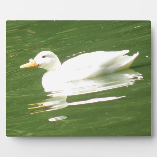 Duck on the Water Plaque (Front)
