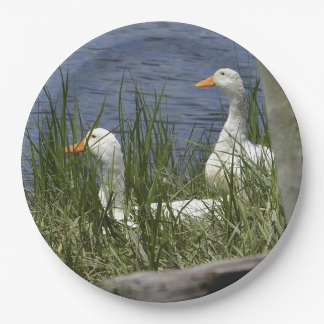 Duck Paper Plate (Front)
