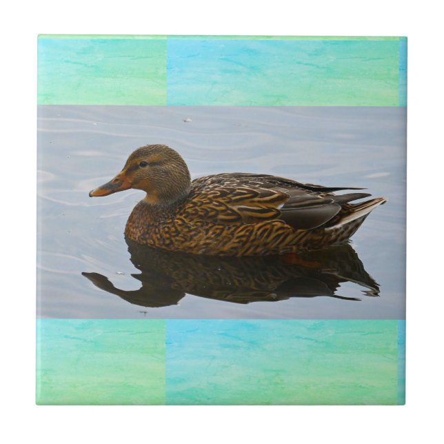 Duck Photo Ceramic Tile (Front)