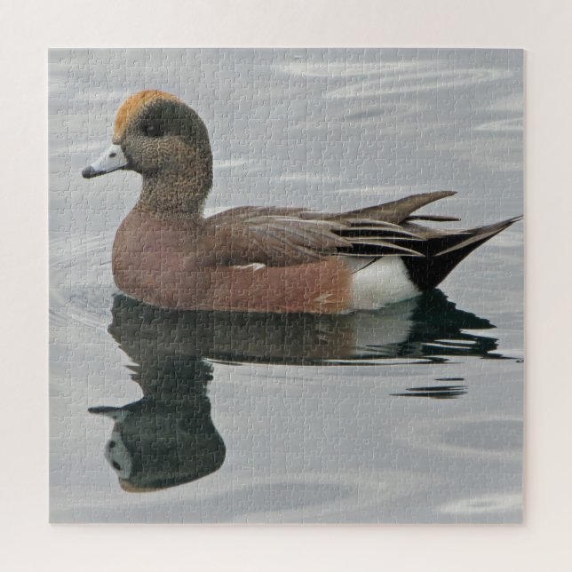 Duck Photo Male Wigeon on Calm Water Reflection Jigsaw Puzzle (Vertical)
