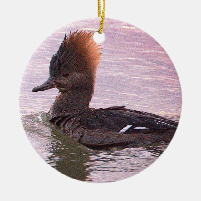 Duck Photo Ornament (Front)