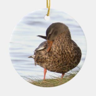 Duck Photo Ornament