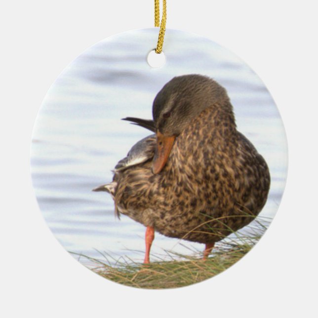 Duck Photo Ornament  (Front)