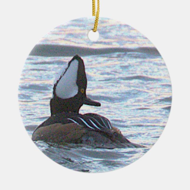 Duck Photo Ornament (Front)