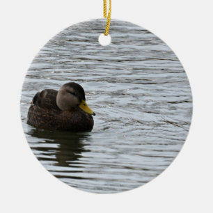Duck Photo Ornament