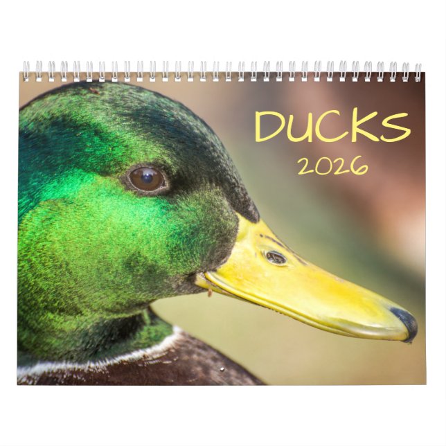 Duck Photography 2026 Calendar (Cover)
