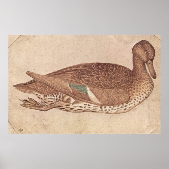 Duck - Pisanello - c1440 Poster (Front)