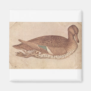 Duck - Pisanello Magnet