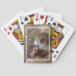 Duck Playing Cards