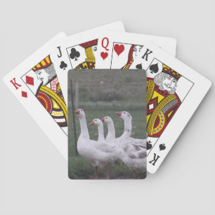 Duck Playing Cards