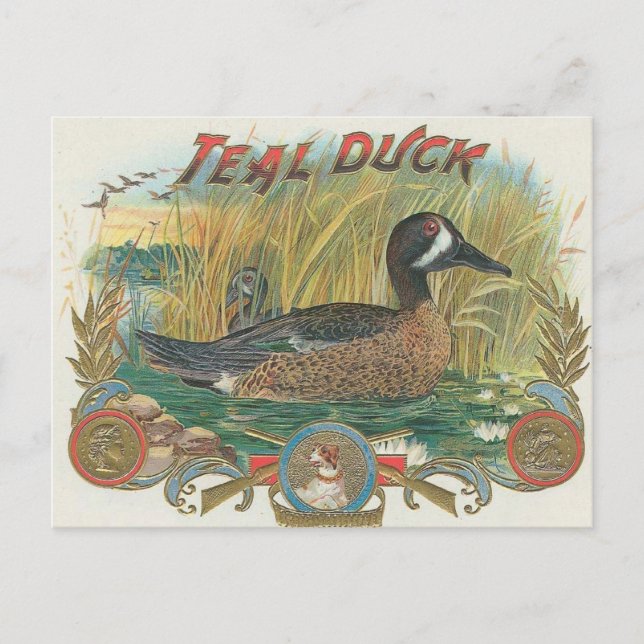 Duck Postcard (Front)