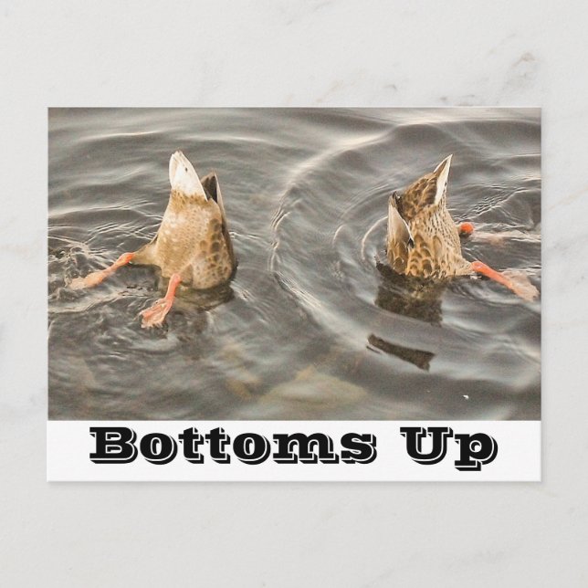 Duck Postcard (Front)