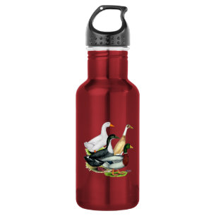 Duck Quartet 532 Ml Water Bottle