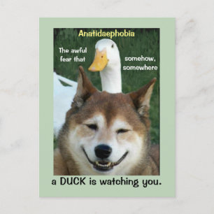 Duck Shiba Inu Dog Anatidaephobia Photo Funny Doge Postcard