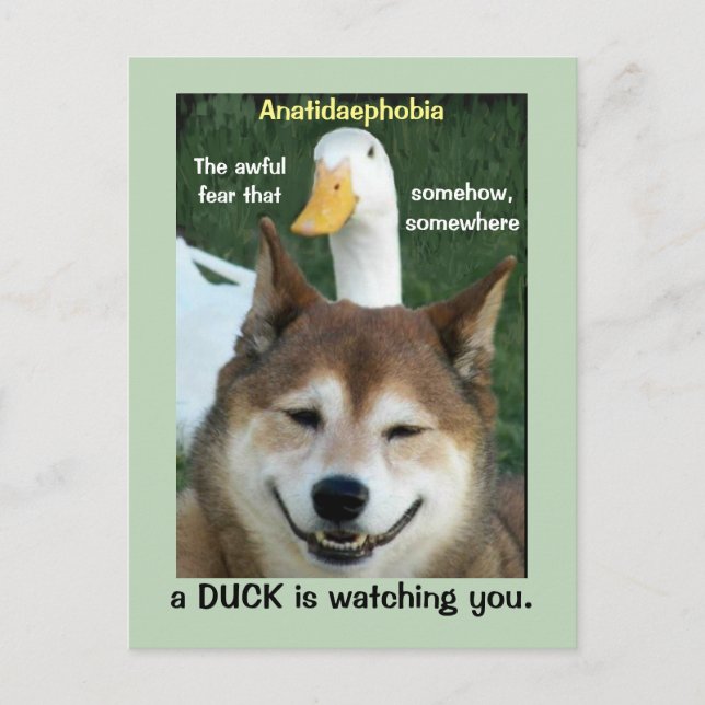 Duck Shiba Inu Dog Anatidaephobia Photo Funny Doge Postcard (Front)