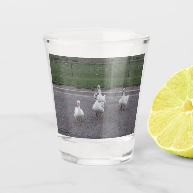 Duck Shot Glass (Front)