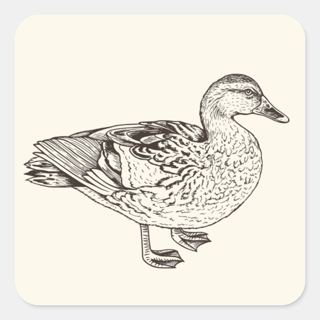 Duck Sketch Square Sticker (Front)