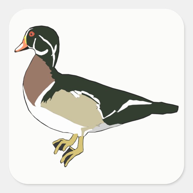 Duck Square Sticker (Front)