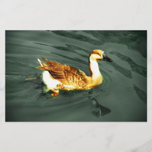 Duck Stationery