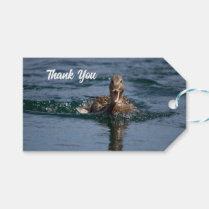 Duck with beak open             gift tags