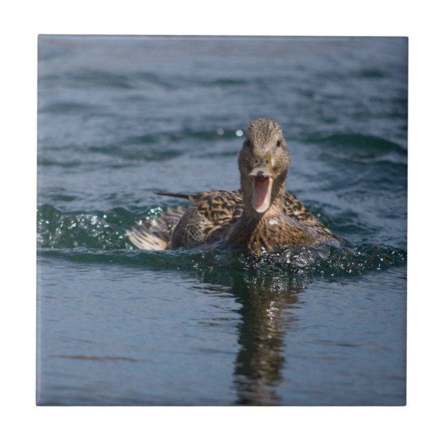 Duck with beak open             tile (Front)