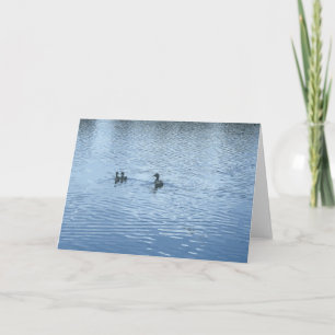 Duck With Ducklings In A Lake Pond Blue Card