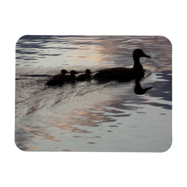 Duck with Ducklings in Sunset Flexible Magnet (Horizontal)