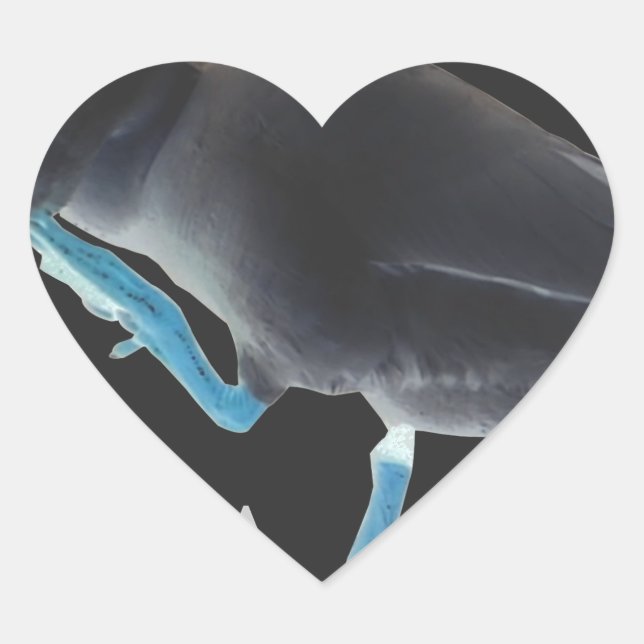 Duck with I Woke Up Like This & Hakuna Matata Text Heart Sticker (Front)