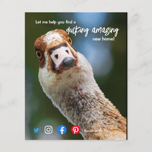 duck wonderful awesome real estate agent marketing flyer (Front)