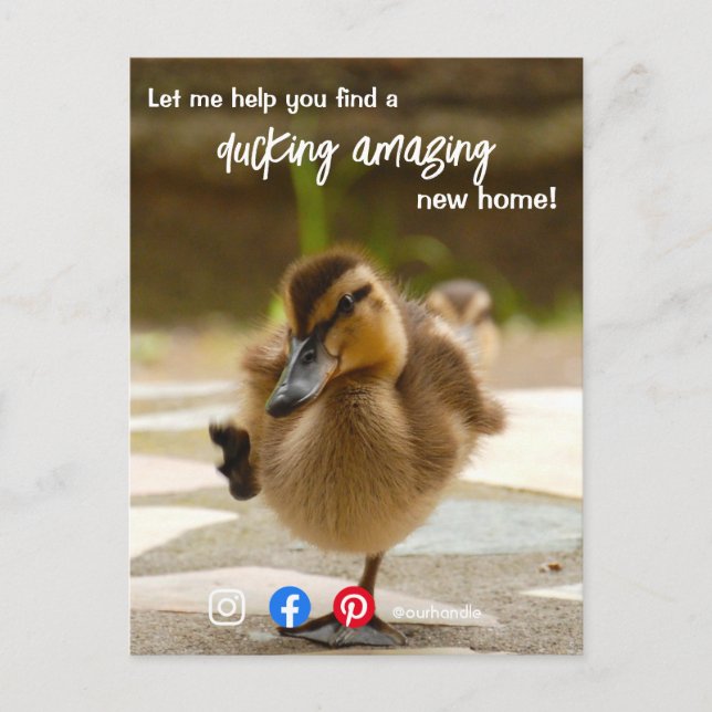 duck wonderful awesome real estate agent marketing postcard (Front)