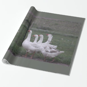 Duck Wrapping Paper