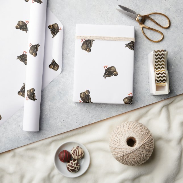 Duck Wrapping Paper (Crafts)