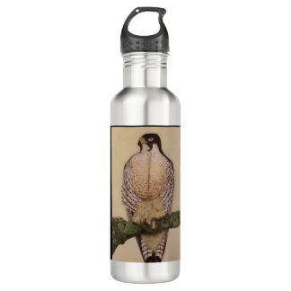 Duckhawk Water Bottle