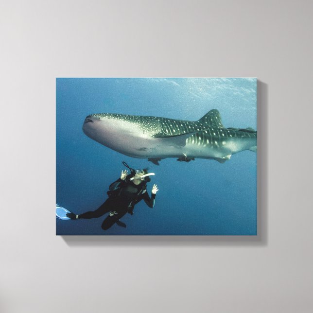 Ducking For Cover? Canvas Print (Front)