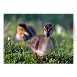 Duckling