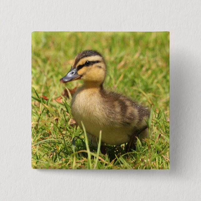 Duckling 15 Cm Square Badge (Front)