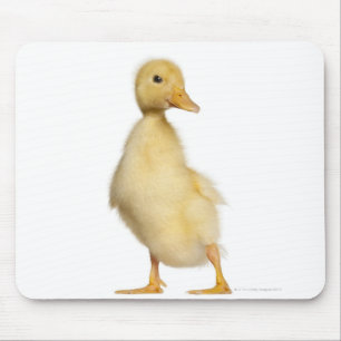 Duckling (1 week old) mouse mat