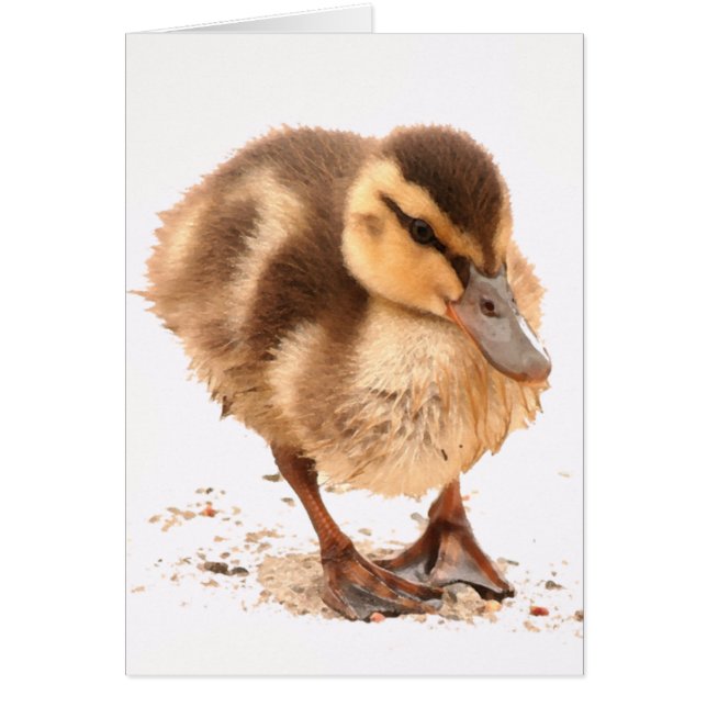 Duckling Card (Front)