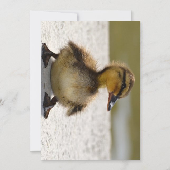 Duckling Card (Front)