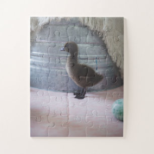 Duckling, Dark Brown Baby Duck Jigsaw Puzzle