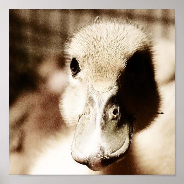 Duckling Digital Art Poster (Front)