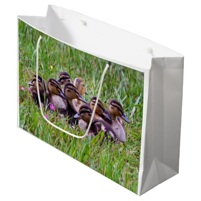 Duckling Huddle Gift Bag (Front Angled)